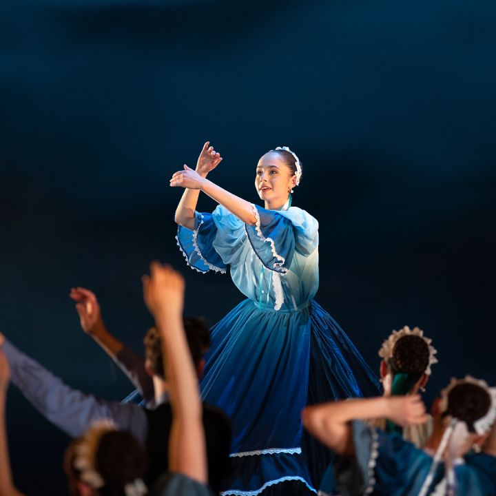 Duna Művészegyüttes: A Duna balladái