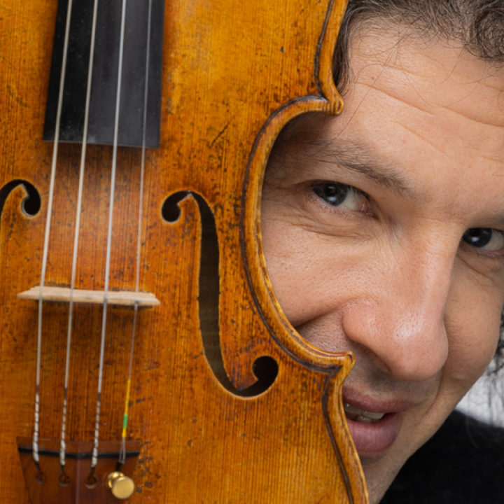 Budapesti Fesztiválzenekar