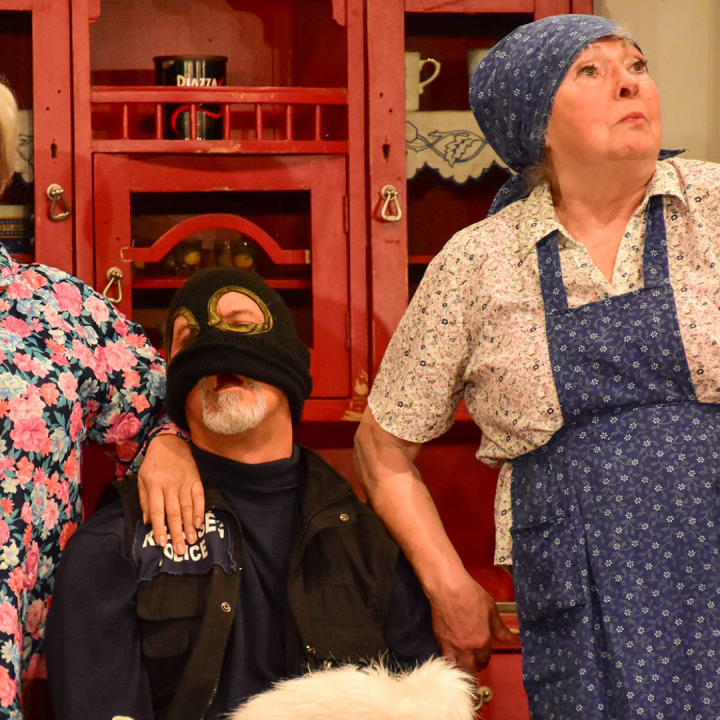 Örömlányok végnapjai